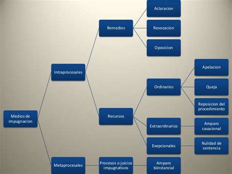 Clasificacion De Los Medios De Impugnacion
