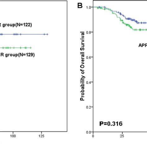 Survival Of Patients With Lower Locally Advanced Rectal Cancer Treated