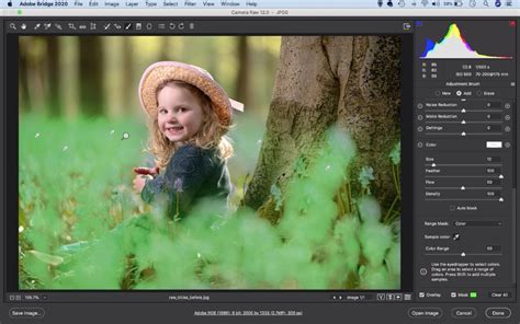 Adobe Camera Raw Enhance Your Raw Files Easily In Photoshop Digital