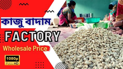 কাজু বাদামের কারখানা সম্পূর্ণ ঘুরে দেখলাম Wholesale Price Cashew