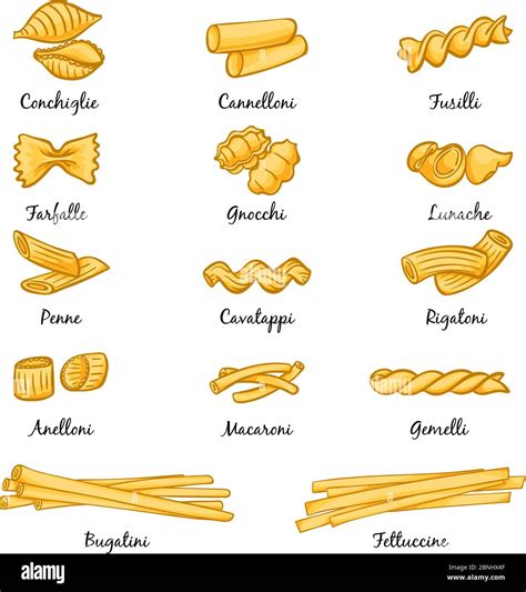 Different Types Of Pasta Traditional Italian Food Pictures In Cartoon Style Stock Vector Image