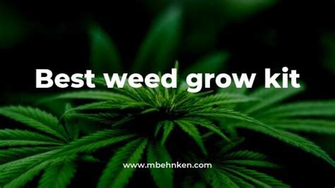 Best Weed Growing Kits