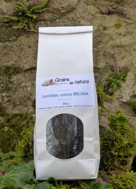 Lentilles Noires Beluga G G Grains De Nature Locavor Fr