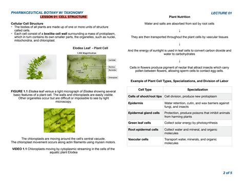 SOLUTION Introduction To Pharmaceutical Botany With Taxonomy Studypool