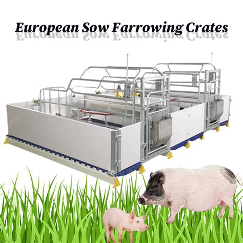 European Type Farrowing Crates With Heater Pig Cages Farm Galvanized