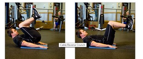 Reverse Cable Crunch Cable Crunch Lower Abs Abs