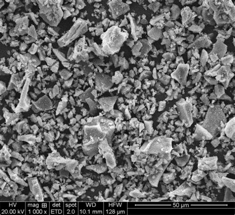 Fig Sem Photograph Of Cao Urea 42 Sem Study Of Cao Acetamide