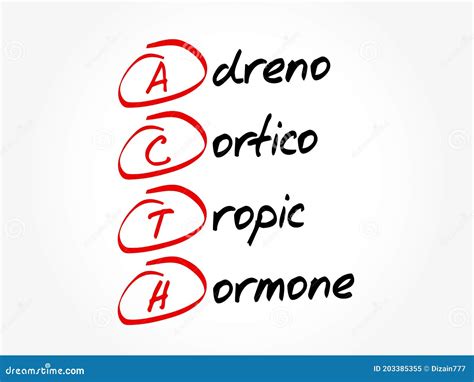 ACTH Adrenocorticotropic Hormone - Polypeptide Tropic Hormone Produced By And Secreted By The ...