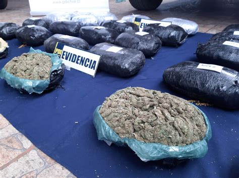 Pdi Detiene En Quilpu A Hombre Con Armas Y Droga Avaluada En