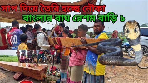 সাপ দিয়ে তৈরি হচ্ছে নতুন একটি নৌকা বাংলার বাঘ রেশম বাড়ি বাংলার বাঘ