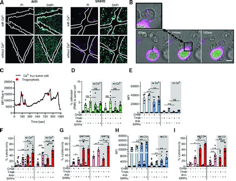 Cancer Cells Need Extracellular Ca For Plasma Membrane Repair During