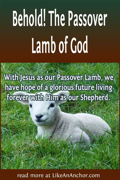 Behold The Passover Lamb Of God Like An Anchor