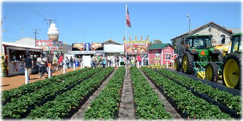 Strawberry Festival 2024 Plant City Fl Linea Merissa