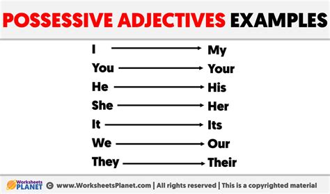 Possessive Adjectives Examples