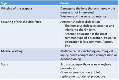 Shoulder Examination Flashcards Quizlet