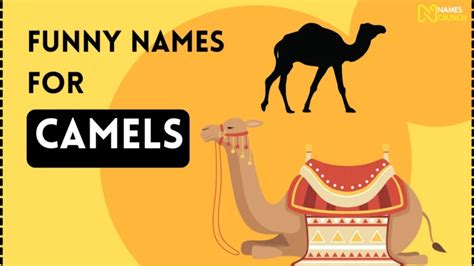 390 Funny First And Last Names Clever Ideas Names Crunch