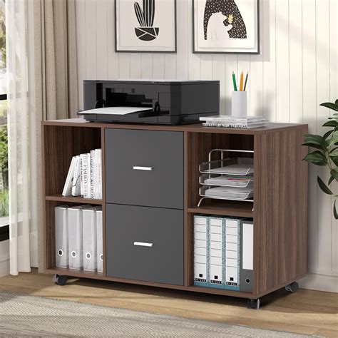 Latitude Run® 1575 Wide 2 Drawer Mobile Lateral Filing Cabinet Wayfair