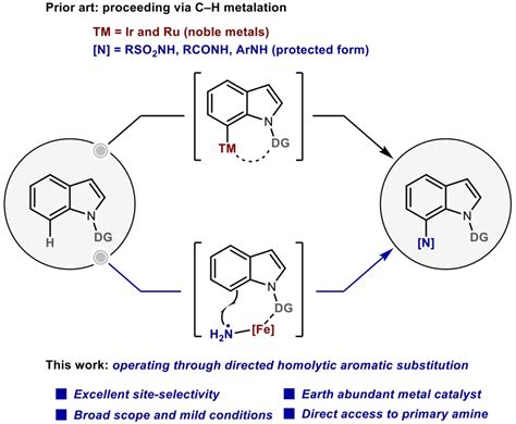 王飞angew：导向芳香自由基取代反应新应用：铁催化吲哚c 7位选择性胺化 元素有机化学国家重点实验室