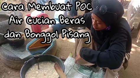 Cara Pembuatan Pupuk Organik Cair Poc Batang Pisang Bonggol Dan