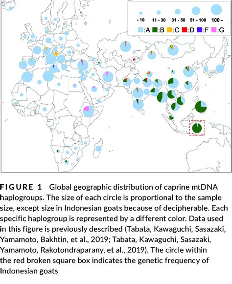 Shows The Global Geographic Distribution Of Caprine MtDNA Haplogroups