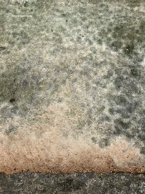 Old Concrete Mossy Wall With Green Lichen Surface Texture Stock Image