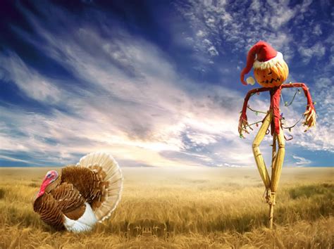 Download Funny Thanksgiving Screensavers - WallpaperTip