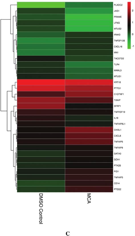 Hierarchical Cluster Analysis Of Tumor Transformation Related And