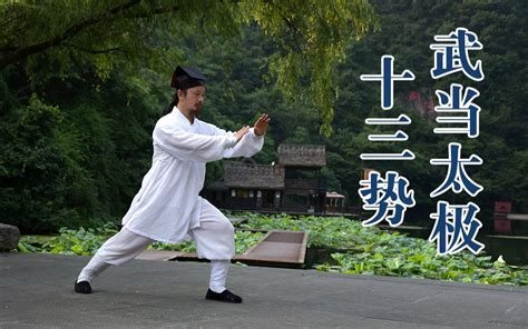 武当道长陈师行演练太极十三势，高清完整版哔哩哔哩bilibili