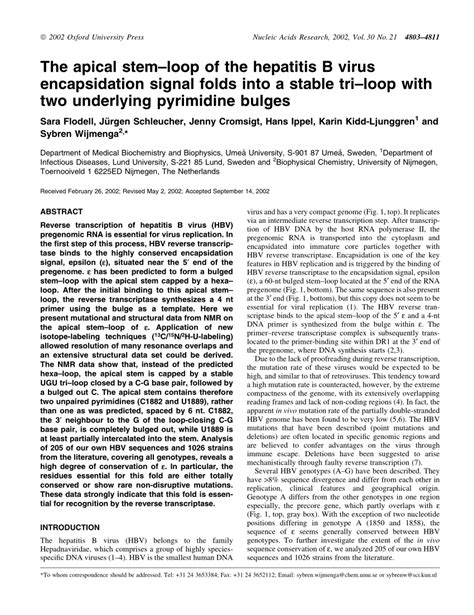 PDF The Apical Stem Loop Of The Hepatitis B Virus Encapsidation