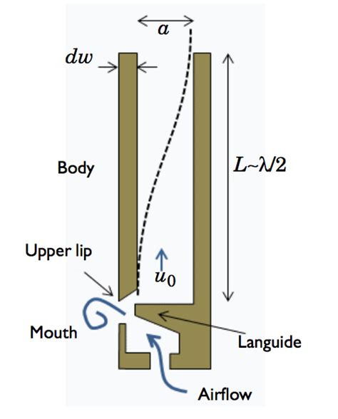 Organ pipe - Alchetron, The Free Social Encyclopedia