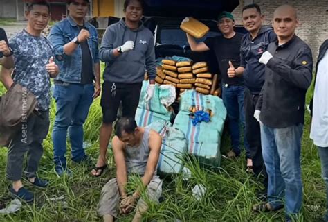 Terungkap Oknum Polisi Di Sumatera Barat Jadi Kurir 141 Kg Ganja Yang