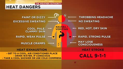 Heat dangers: the difference between heat exhaustion and heat stroke