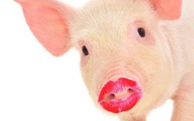 A Pig with Lipstick is Still a Pig | Jeff Kortes