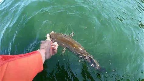 Fishing Lake Okoboji Iowa In The Heat Finesse And Power Fishing In