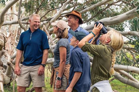 Kangaroo Island What You Should Know Stranraer Homestead