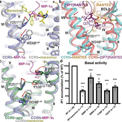 Overall Chemokine Binding Mode In Ccr5 And Receptor Chemokine