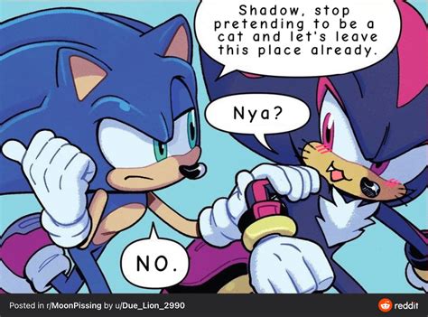 Shadow-Cat | Sonic the Hedgehog | Know Your Meme