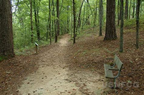 Coleman Lake Loop Trail/DSC_0008