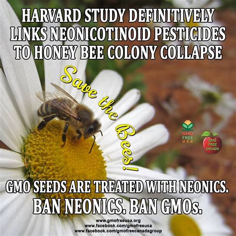 Neonicotinoid Pesticides Such As Clothanidin Are Used To Treat Gmo