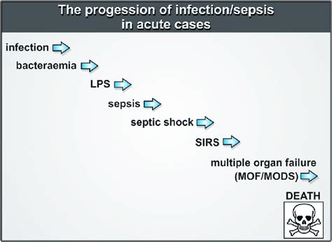 The Main Steps That Represent The Progression Of Infectionsepsis In