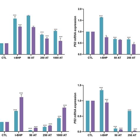 Effect Of Arbutin On Bax Bcl 2 Ratio And P53 Mrna Expression The