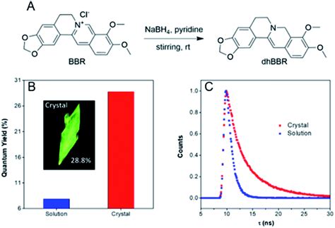 Visualizing Semipermeability Of The Cell Membrane Using A Ph Responsive