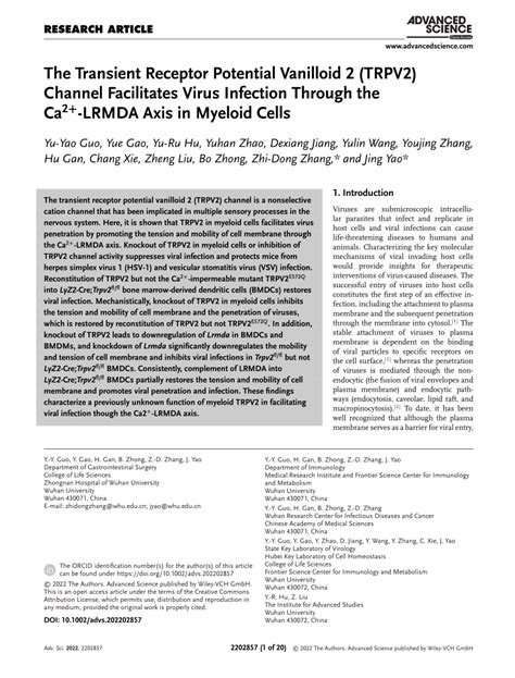 PDF The Transient Receptor Potential Vanilloid 2 TRPV2 Channel