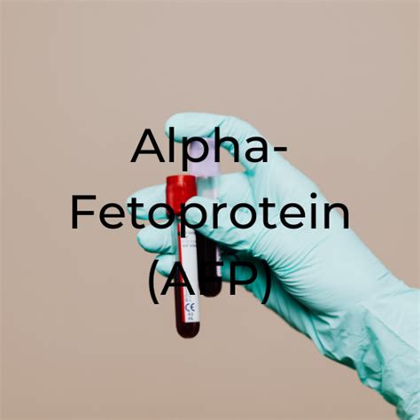 Alpha Feto protein (AFP) – Patholab Laboratory