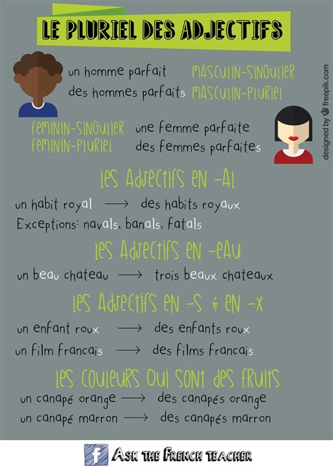 Le Pluriel Des Adjectifs Learn French French Lessons Teaching French