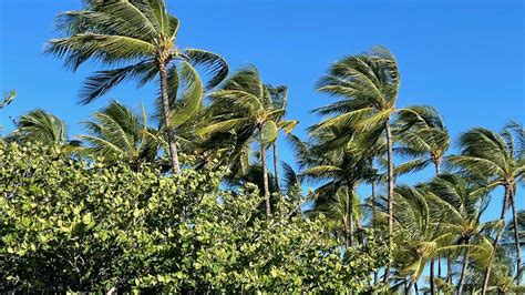 Hawaii County Surf Forecast For November Big Island Now