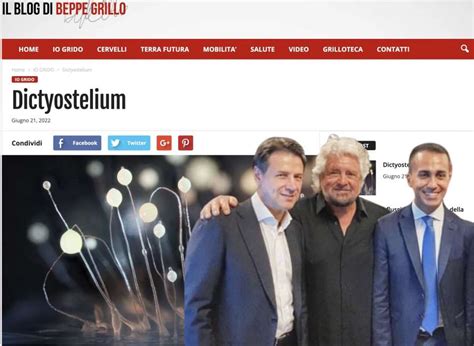 Beppe Grillo Sul Blog Se Qualcuno Non Crede Piu Nelle Regole Del