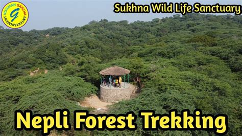 Nepli Forest Trekking Sukhna Wild Life Sanctuary Chandigarh