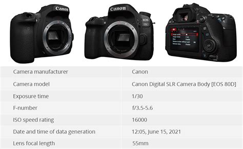 6 Different Methods To Get Canon Shutter Count Info