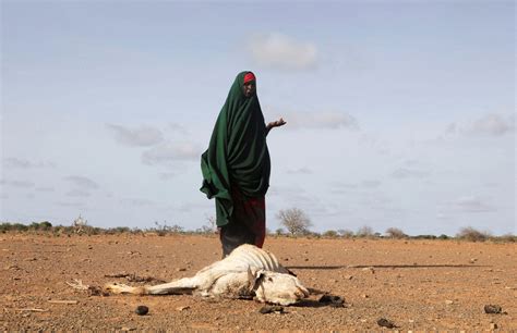 more than 8 m people in Somalia face hunger crisis in 2023: Report ...